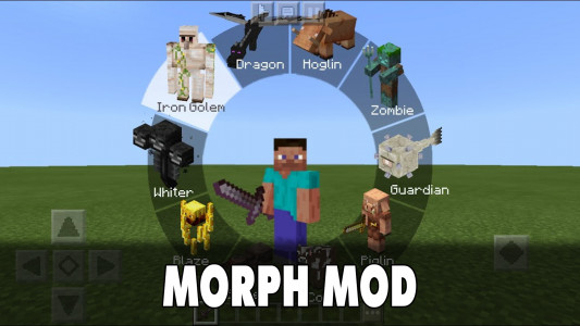 اسکرین شات برنامه Morph Mod for Minecraft 1