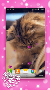 اسکرین شات برنامه Cute Kittens Live Wallpaper 7