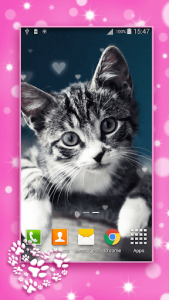 اسکرین شات برنامه Cute Kittens Live Wallpaper 1