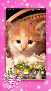 اسکرین شات برنامه Cute Kittens Live Wallpaper 2