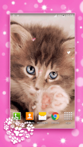 اسکرین شات برنامه Cute Kittens Live Wallpaper 5