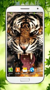 اسکرین شات برنامه Tiger Live Wallpaper HD 3