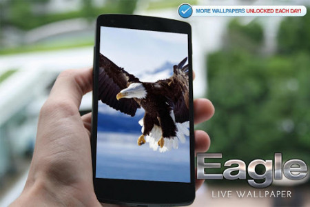 اسکرین شات برنامه Eagle Live Wallpaper 7