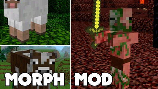 اسکرین شات برنامه Morph Mod for Minecraft PE 3