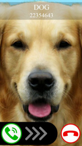 اسکرین شات 1 بازی fake call dog game