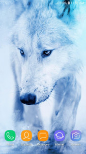 اسکرین شات برنامه Ice Wolf Live Wallpaper HD 3