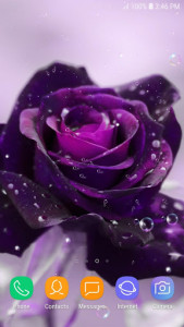 اسکرین شات برنامه Purple Rose Live Wallpaper 7
