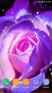اسکرین شات برنامه Purple Rose Live Wallpaper 5