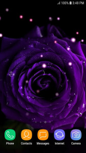 اسکرین شات برنامه Purple Rose Live Wallpaper 2