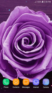 اسکرین شات برنامه Purple Rose Live Wallpaper 6