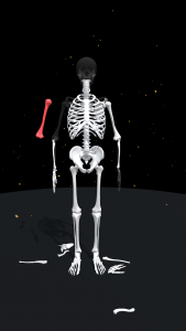 اسکرین شات 1 بازی Assemble Skeleton