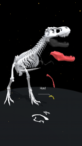 اسکرین شات 4 بازی Assemble Skeleton