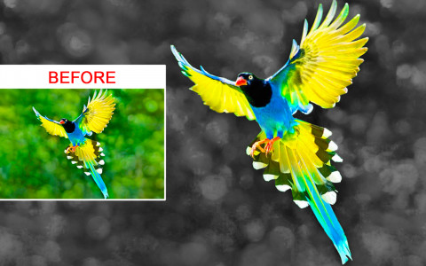 اسکرین شات 4 برنامه Blur photo color splash effect