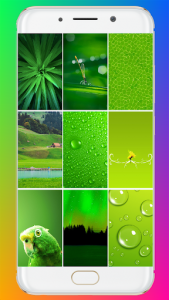 اسکرین شات برنامه Green Wallpaper 1