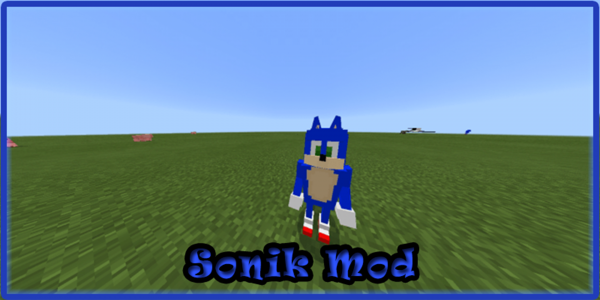 اسکرین شات برنامه Sonic Mod for Minecraft PE 1