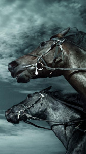 اسکرین شات 5 برنامه Horse Pictures Live Wallpaper