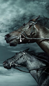 اسکرین شات برنامه Horse Pictures Live Wallpaper 5