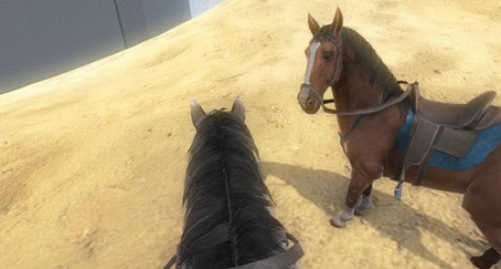 اسکرین شات بازی Horse racing game 8