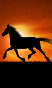 اسکرین شات برنامه Horses Live Wallpaper 5