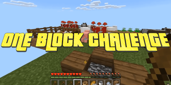 اسکرین شات برنامه One Block Map Survival for Minecraft 1