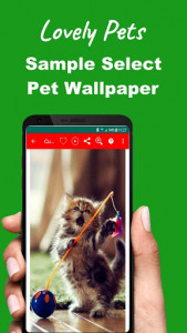 اسکرین شات برنامه Cute Pets Wallpapers Background 4