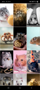 اسکرین شات برنامه Hamster Wallpapers 4