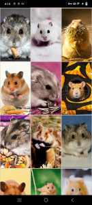 اسکرین شات برنامه Hamster Wallpapers 6