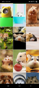 اسکرین شات برنامه Hamster Wallpapers 2