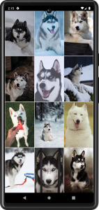 اسکرین شات برنامه Husky Dog Wallpapers 2