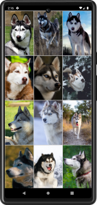 اسکرین شات برنامه Husky Dog Wallpapers 4