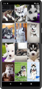 اسکرین شات برنامه Husky Puppies Wallpapers 1