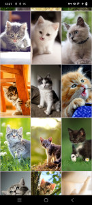 اسکرین شات برنامه Kitten Wallpapers 4