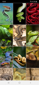 اسکرین شات برنامه Snake Wallpapers 2