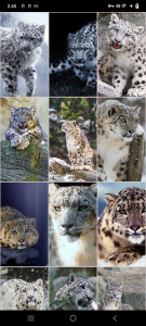 اسکرین شات برنامه Snow Leopard Wallpapers 2
