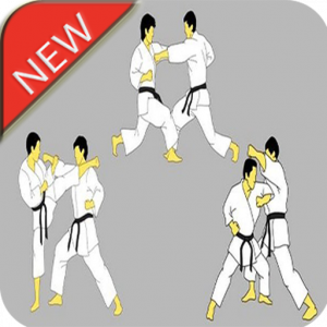 اسکرین شات برنامه Karate Martial Arts Technique 6