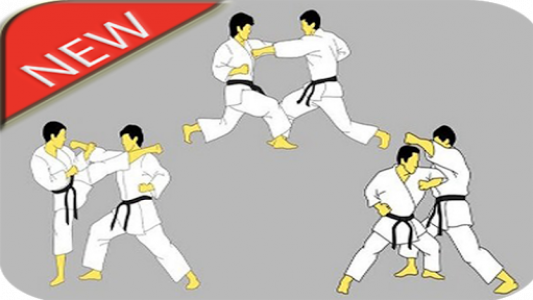 اسکرین شات برنامه Karate Martial Arts Technique 7