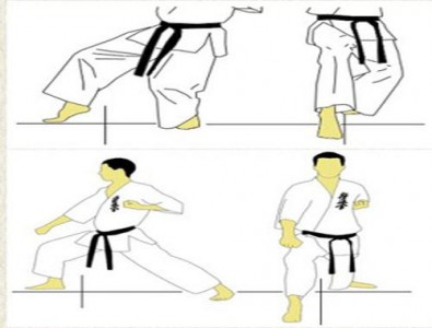 اسکرین شات برنامه Karate Martial Arts Technique 5