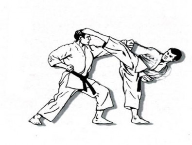 اسکرین شات برنامه Karate Martial Arts Technique 4