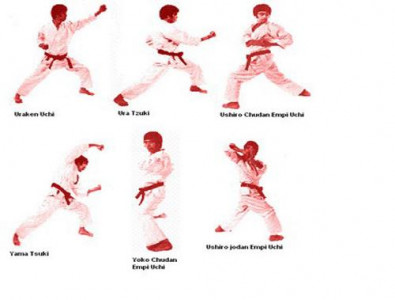 اسکرین شات برنامه Karate Martial Arts Technique 2
