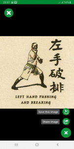 اسکرین شات برنامه Learn Kung Fu Techniques 8