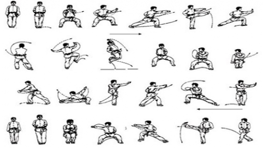 اسکرین شات برنامه Martial Arts Techniques 7