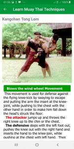 اسکرین شات 3 برنامه Muay Thai MMA Techniques