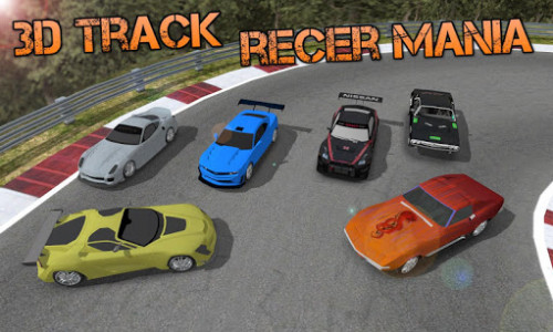اسکرین شات بازی 3D Track Racer Mania 3