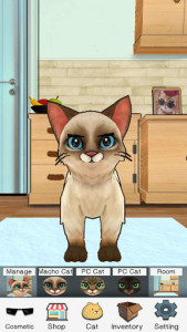 اسکرین شات بازی Macho Cat : Pat the Virtual Cat 8