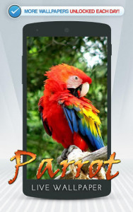 اسکرین شات برنامه Parrot Live Wallpaper 1