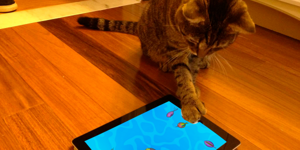 اسکرین شات برنامه Peppy fishes for cats toy game 2