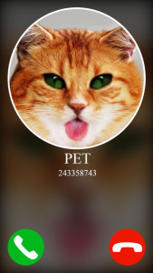 اسکرین شات بازی fake incoming call pet game 3