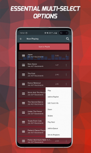 اسکرین شات برنامه Pi Music Player: Offline Music 5