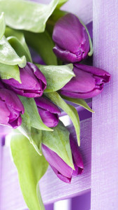 اسکرین شات برنامه Purple Tulips Live Wallpaper 4