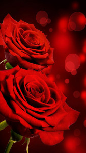 اسکرین شات برنامه Rose Live Wallpaper 5